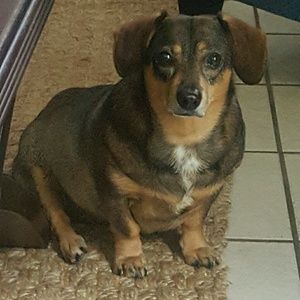 Meet your Posher, Holly